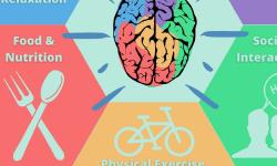 Featured image of post HeJu Mental Health Awareness Month (Oct 2020) – Brain health