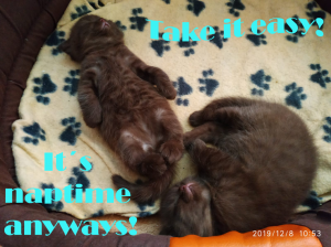 credit: HeJu communication group